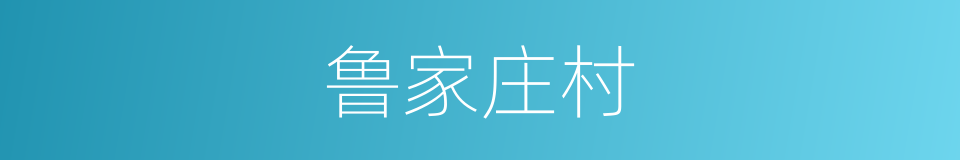 鲁家庄村的同义词