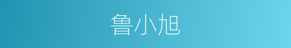 鲁小旭的同义词