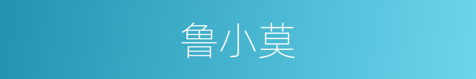 鲁小莫的同义词