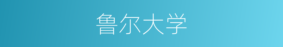 鲁尔大学的同义词