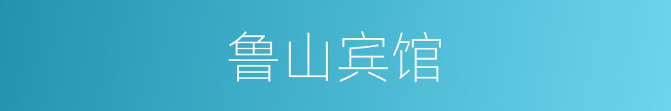 鲁山宾馆的同义词