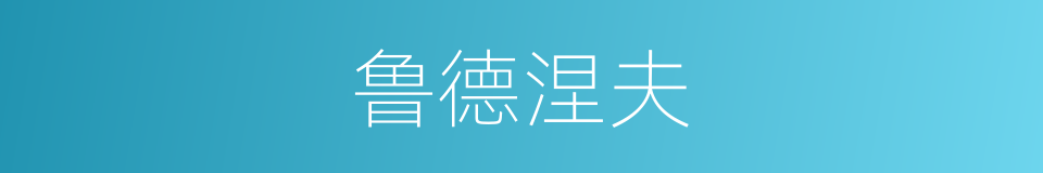 鲁德涅夫的同义词