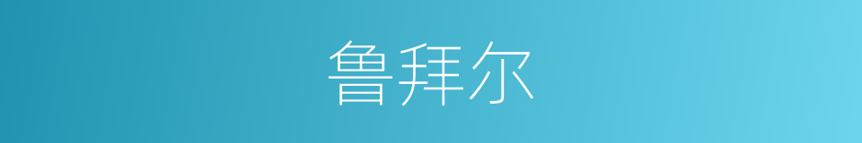 鲁拜尔的同义词