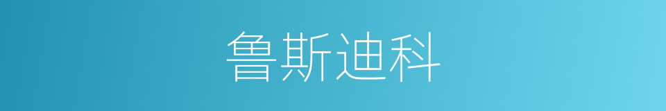 鲁斯迪科的同义词