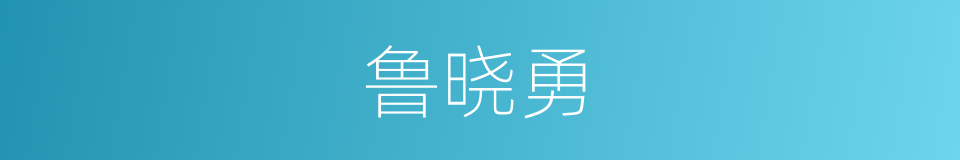 鲁晓勇的同义词