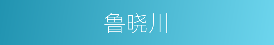 鲁晓川的同义词