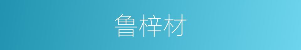 鲁梓材的同义词