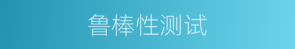 鲁棒性测试的同义词