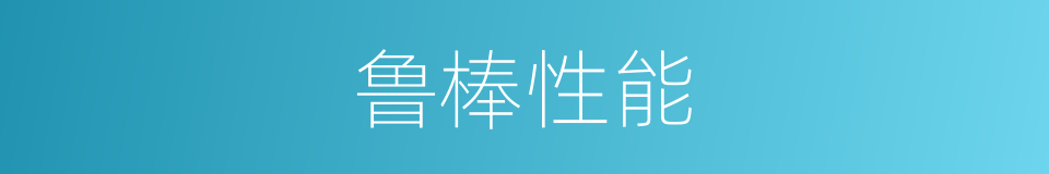 鲁棒性能的意思