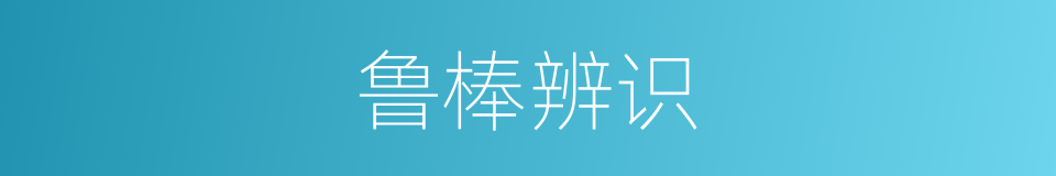 鲁棒辨识的同义词