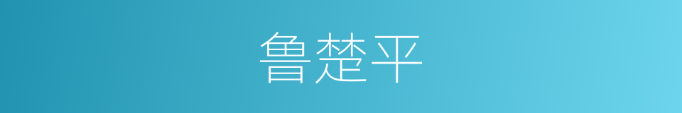 鲁楚平的同义词