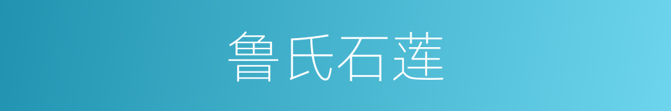 鲁氏石莲的同义词