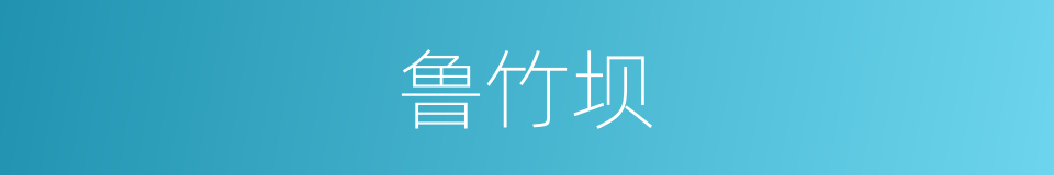 鲁竹坝的同义词