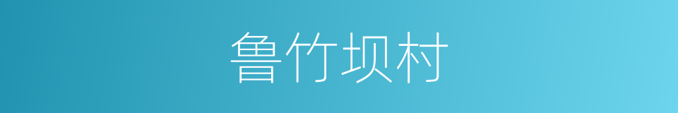 鲁竹坝村的同义词