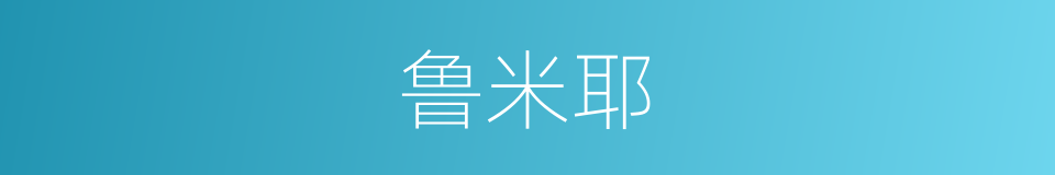 鲁米耶的同义词