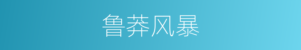 鲁莽风暴的同义词