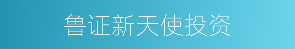 鲁证新天使投资的同义词