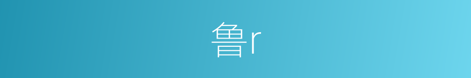 鲁r的同义词