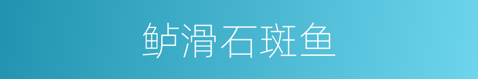 鲈滑石斑鱼的同义词