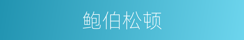 鲍伯松顿的同义词
