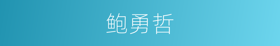 鲍勇哲的同义词
