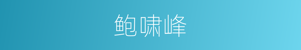 鲍啸峰的同义词