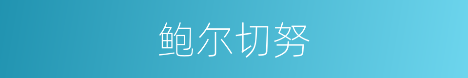 鲍尔切努的同义词