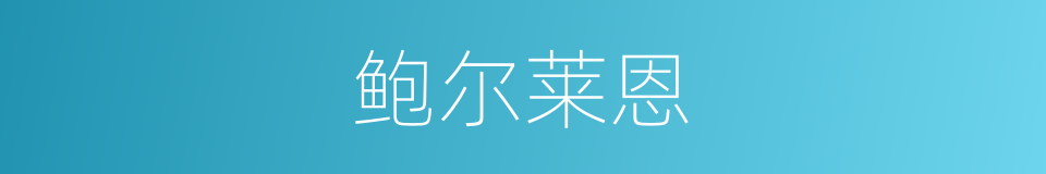 鲍尔莱恩的同义词