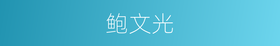 鲍文光的同义词