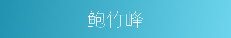 鲍竹峰的同义词