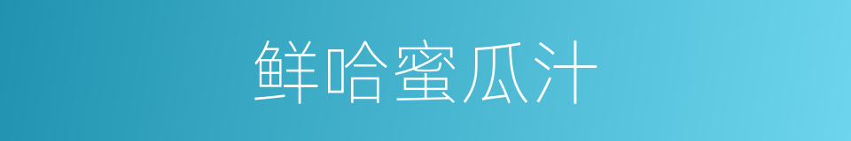 鲜哈蜜瓜汁的同义词