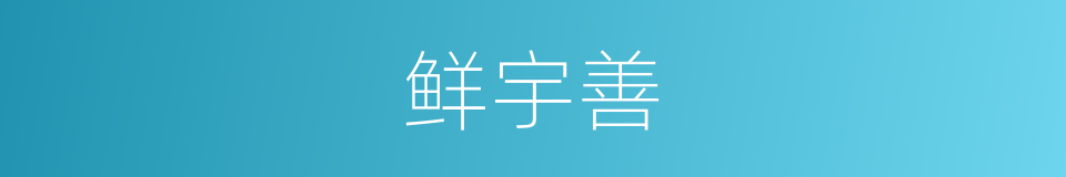 鲜宇善的同义词