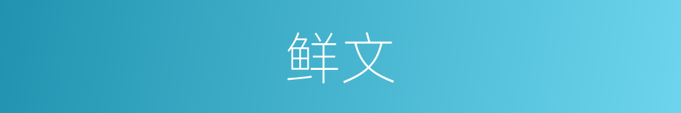 鲜文的意思
