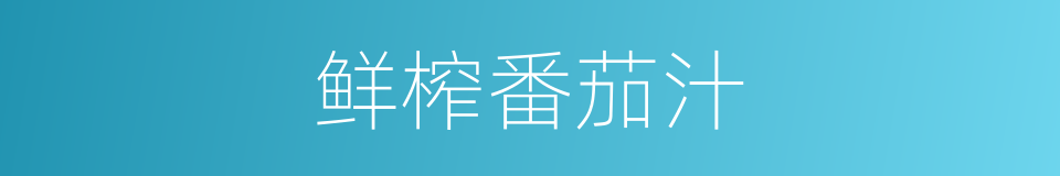 鲜榨番茄汁的同义词