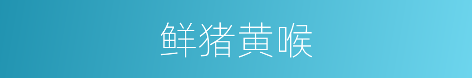 鲜猪黄喉的同义词
