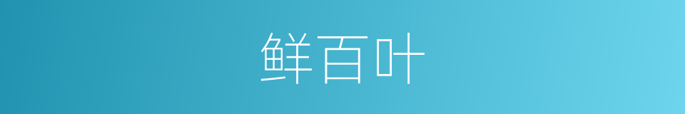 鲜百叶的同义词