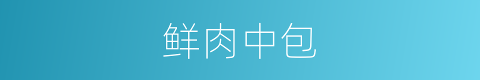 鲜肉中包的同义词