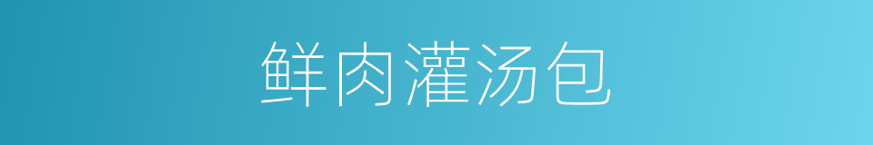 鲜肉灌汤包的同义词