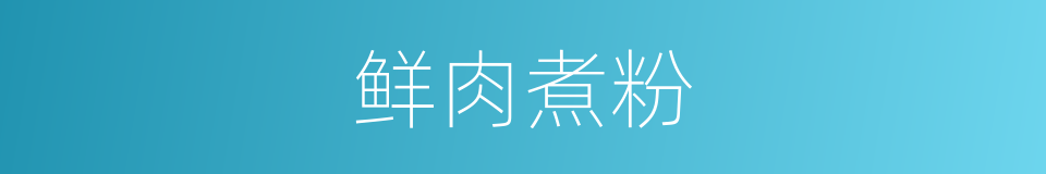 鲜肉煮粉的同义词