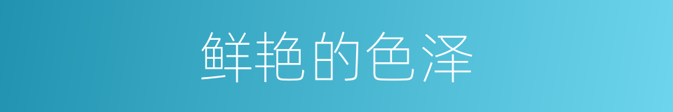 鲜艳的色泽的同义词