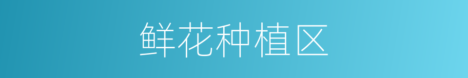 鲜花种植区的同义词