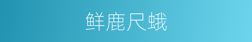 鲜鹿尺蛾的同义词