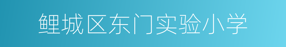 鲤城区东门实验小学的同义词