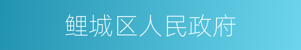 鲤城区人民政府的同义词