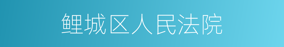 鲤城区人民法院的同义词