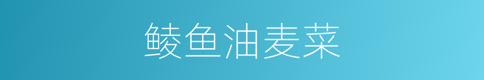 鲮鱼油麦菜的同义词