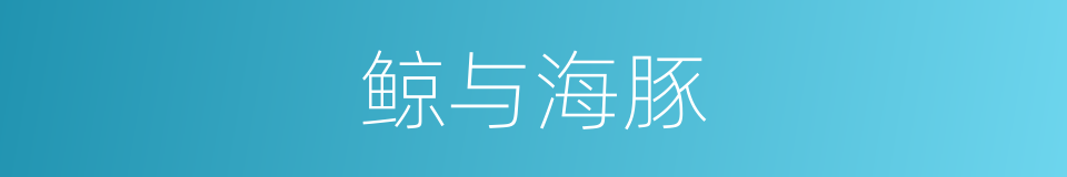鲸与海豚的同义词