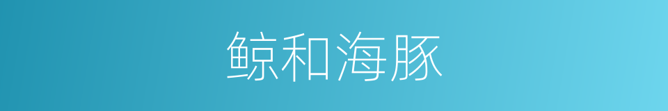 鲸和海豚的同义词