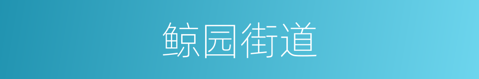 鲸园街道的同义词