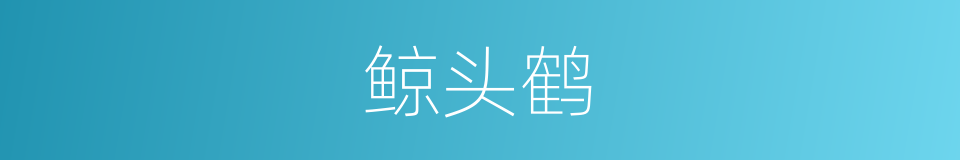 鲸头鹤的同义词